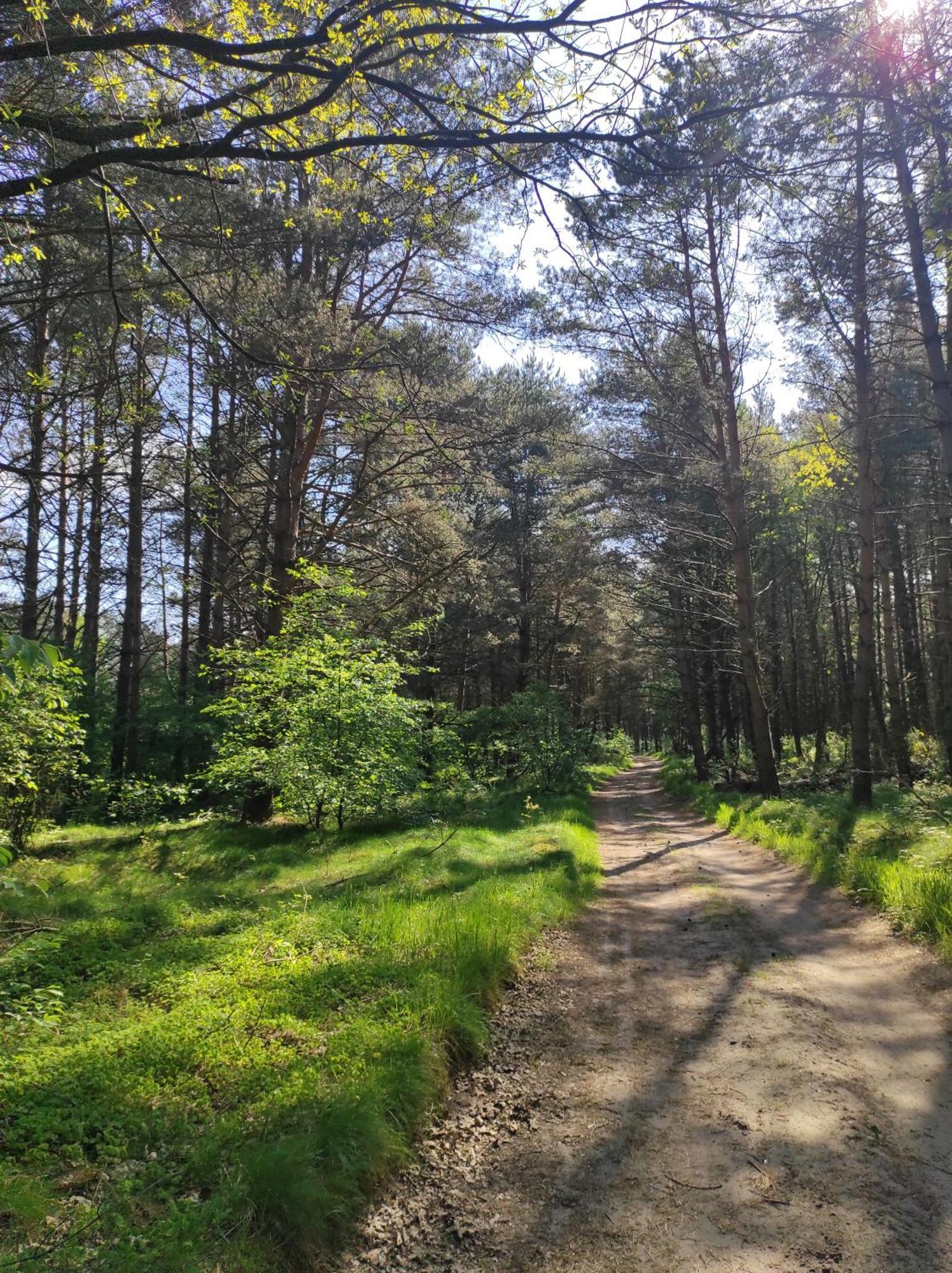 Domki Na Jastrzebiej Mieroszyno Exterior foto